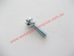 31 - Pump cover screw (IDF Weber)